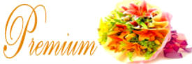 premium gifts