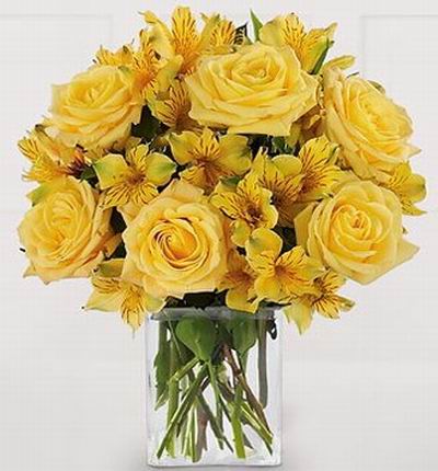 6 yellow Roses and 8 stems of Alstromeria fillers.